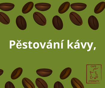 k58d142de466ba-pestovani-kavy.png