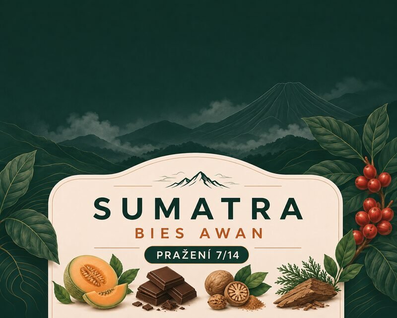 sumatra-bies-awan-profil-800x640.jpeg