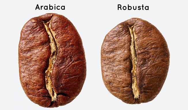 Je arabica lepší než robusta?